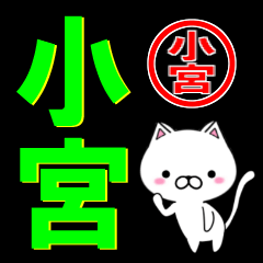 [LINEスタンプ] 超★小宮(こみや・コミヤ)なネコの画像（メイン）