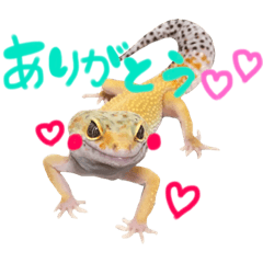 [LINEスタンプ] わださんち。