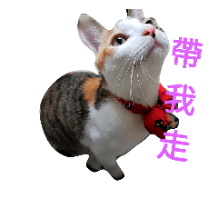 [LINEスタンプ] O Cat~ 2