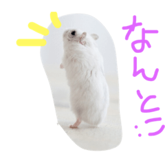 [LINEスタンプ] マッキー  スタンプ