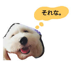 [LINEスタンプ] ルナハロすたんぷ