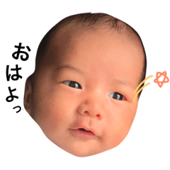 [LINEスタンプ] 博多のよっちゃん