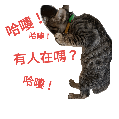 [LINEスタンプ] O Cat~3