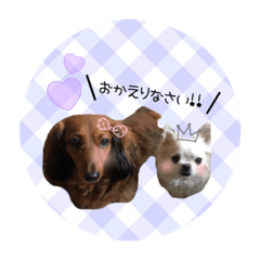 [LINEスタンプ] わんちゃんスタンプ☆