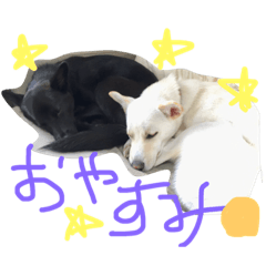 [LINEスタンプ] 愛しのこどもたち1