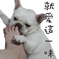 [LINEスタンプ] French Bulldog family