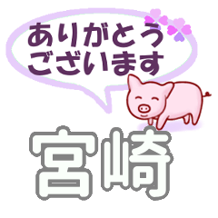 [LINEスタンプ] 宮崎「みやざき」さん専用。日常会話