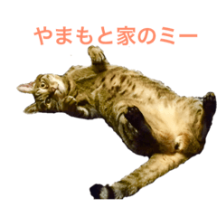 [LINEスタンプ] やまもと家のミー