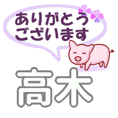 [LINEスタンプ] 高木「たかぎ」さん専用。日常会話