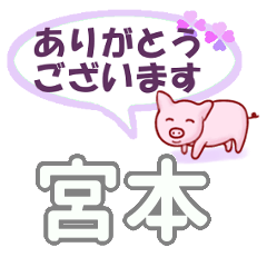 [LINEスタンプ] 宮本「みやもと」さん専用。日常会話