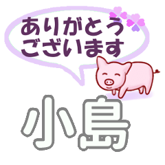 [LINEスタンプ] 小島「こじま」さん専用。日常会話