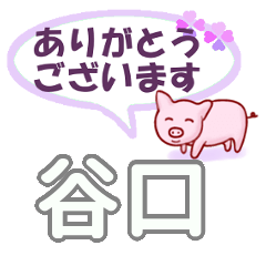 [LINEスタンプ] 谷口「たにぐち」さん専用。日常会話