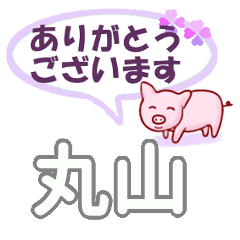 [LINEスタンプ] 丸山「まるやま」さん専用。日常会話