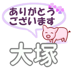 [LINEスタンプ] 大塚「おおつか」さん専用。日常会話