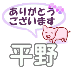 [LINEスタンプ] 平野「ひらの」さん専用。日常会話