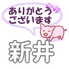 [LINEスタンプ] 新井「あらい」さん専用。日常会話