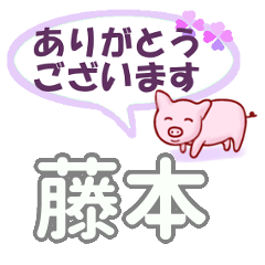 [LINEスタンプ] 藤本「ふじもと」さん専用。日常会話