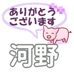 [LINEスタンプ] 河野「こうの」さん専用。日常会話