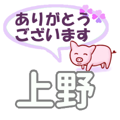 [LINEスタンプ] 上野「うえの」さん専用。日常会話