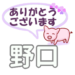 [LINEスタンプ] 野口「のぐち」さん専用。日常会話