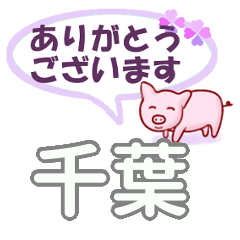 [LINEスタンプ] 千葉「ちば」さん専用。日常会話