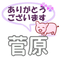 [LINEスタンプ] 菅原「すがわら」さん専用。日常会話