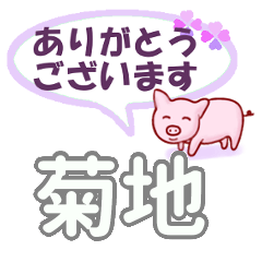 [LINEスタンプ] 菊地「きくち」さん専用。日常会話