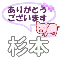 [LINEスタンプ] 杉本「すぎもと」さん専用。日常会話