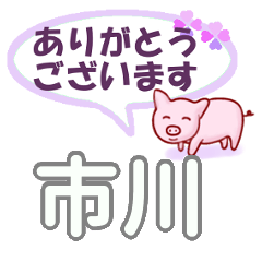 [LINEスタンプ] 市川「いちかわ」さん専用。日常会話