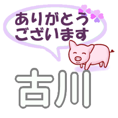 [LINEスタンプ] 古川「ふるかわ」さん専用。日常会話