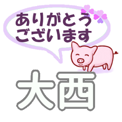 [LINEスタンプ] 大西「おおにし」さん専用。日常会話