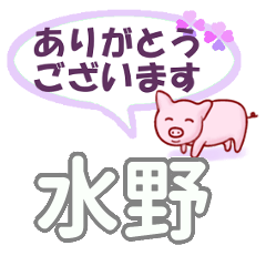 [LINEスタンプ] 水野「みずの」さん専用。日常会話