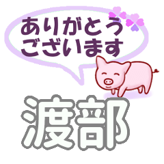 [LINEスタンプ] 渡部「わたなべ」さん専用。日常会話