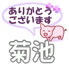 [LINEスタンプ] 菊池「きくち」さん専用。日常会話