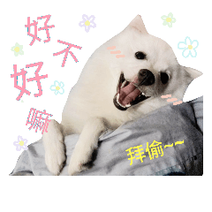 [LINEスタンプ] l Love Spitz-Pommy