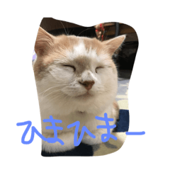 [LINEスタンプ] まろーーーん