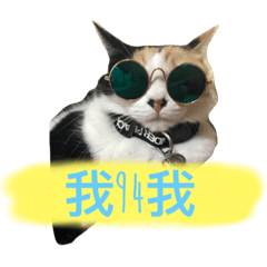 [LINEスタンプ] Super cutes cat