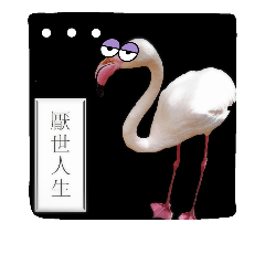 [LINEスタンプ] some funny birds