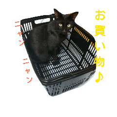 [LINEスタンプ] 黒猫のレオ☆