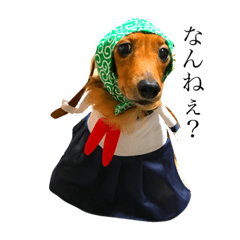 [LINEスタンプ] s,dogs.