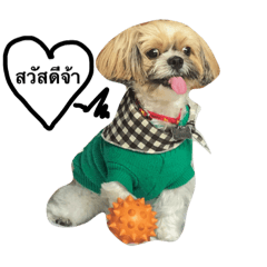 [LINEスタンプ] Bingsu ShihTzu