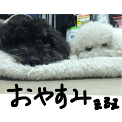 [LINEスタンプ] 犬とこども