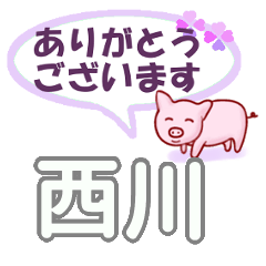 [LINEスタンプ] 西川「にしかわ」さん専用。日常会話