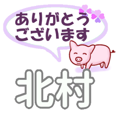 [LINEスタンプ] 北村「きたむら」さん専用。日常会話