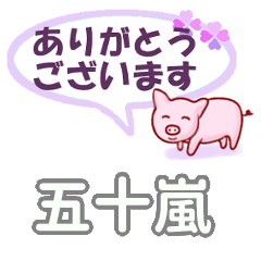 [LINEスタンプ] 五十嵐「いがらし」さん専用。日常会話の画像（メイン）