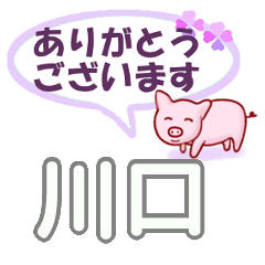 [LINEスタンプ] 川口「かわぐち」さん専用。日常会話