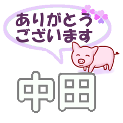 [LINEスタンプ] 中田「なかた」さん専用。日常会話