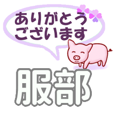 [LINEスタンプ] 服部「はっとり」さん専用。日常会話