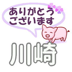 [LINEスタンプ] 川崎「かわさき」さん専用。日常会話