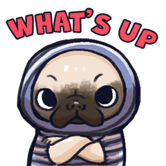 [LINEスタンプ] Mysterious hoodie pug dog ChaCha